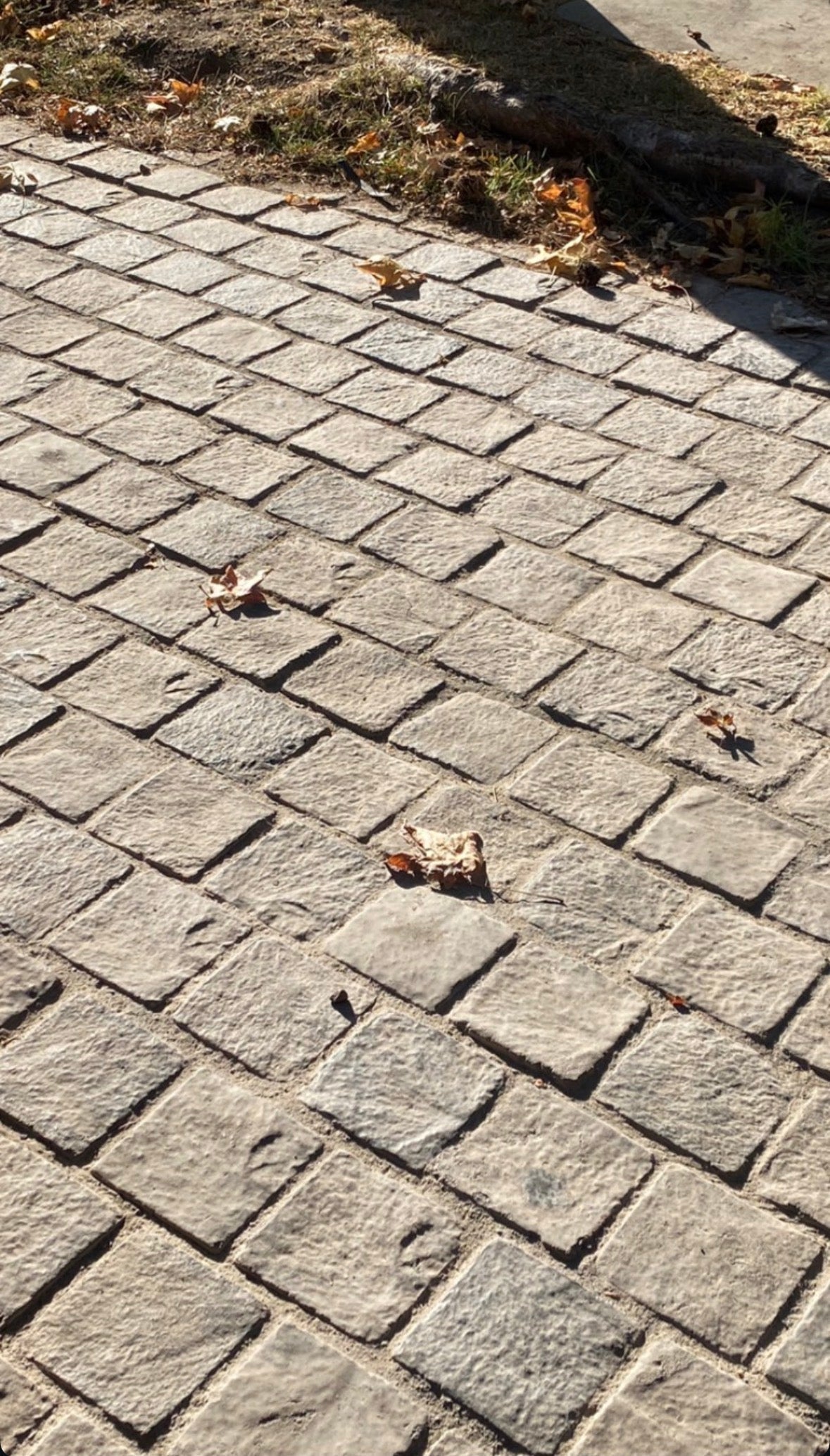 Adoquines de Hormigón para Patios, Accesos y Estacionamientos | Decotimber