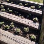 Bloque Textura Durmiente Ferrocarril de Hormigón Timbercret
