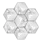 Enchape Fósil Timbercret