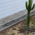 Enchape Piedra Berna Timbercret